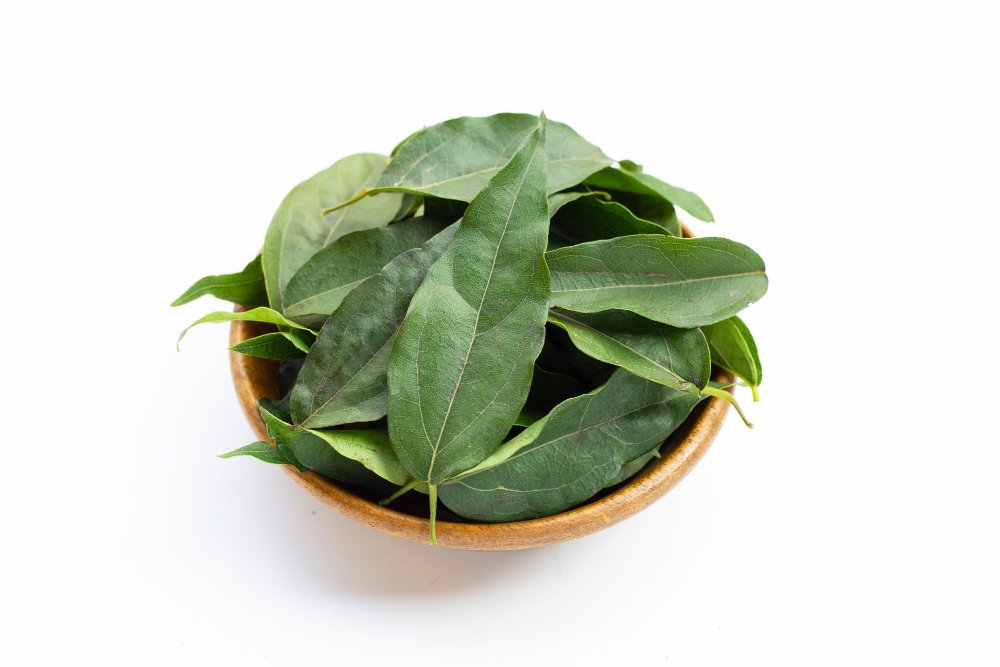 Indonesian Bay Leaves